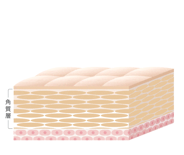 マイクロニードルのメカニズム